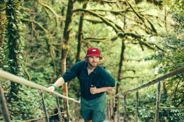 Viajante com mochila escalando sobre ponte de madeira na floresta verde — Fotografia de Stock
