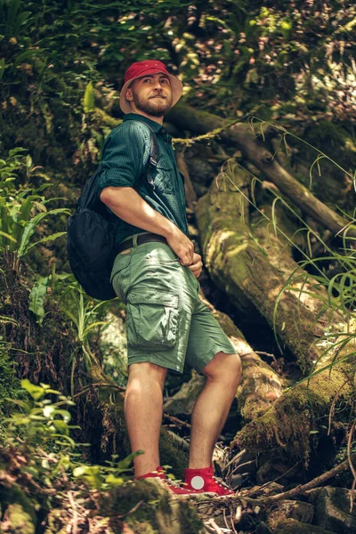 Randonneur avec sac à dos marchant dans la forêt de montagne, escalade à la falaise — Photo