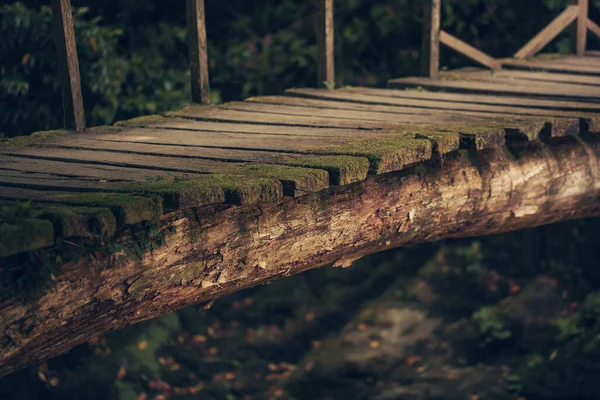 깊은 숲 속의 오래 된 목조 다리, 천연 빈티지 배경 — 스톡 사진