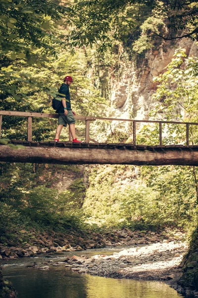 Gezgin yeşil yaz ormanında asılı köprüden geçer.. — Stok fotoğraf