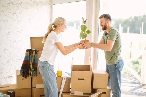 Pareja desempacar cajas en un nuevo hogar. Mujer dando flor a su marido — Foto de Stock