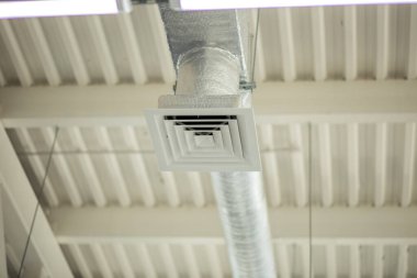 Vücut geliştirici beden eğitimi öğretmeniyle egzersiz yapıyor.