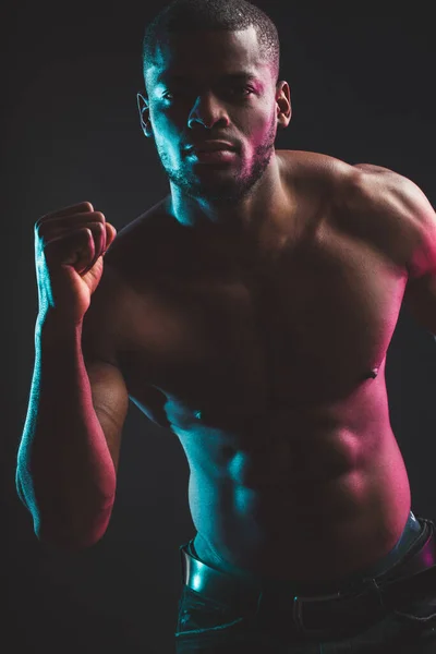 Male Bodybuilder Worship