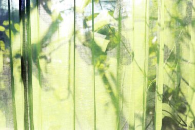 Yeşil şeffaf perdeler. Yaprakların arkasında görünür gölge. arka plan.