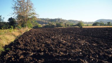 Tarım kırsal alanlarda toprak hazırlanması.