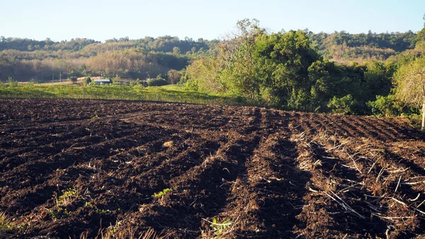 Préparation Des Sols Pour Agriculture Milieu Rural — Photo