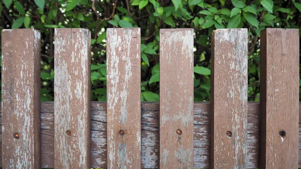 Una Vieja Cerca Madera Árboles Llenos Hojas Detrás Una Vieja —  Fotos de Stock