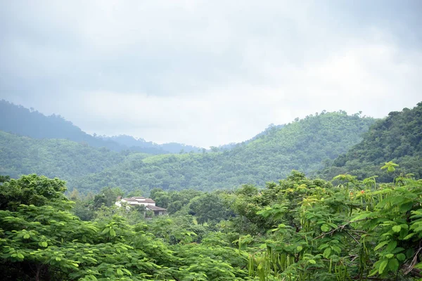 在森林中间的房子 山中森林中间的一座房子 — 图库照片