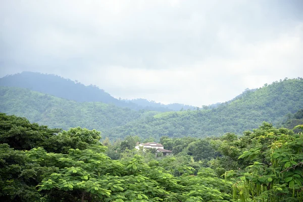 Casa Mezzo Alla Foresta Una Casa Mezzo Alla Foresta Una — Foto Stock