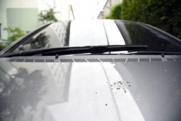 Vogel Uitwerpselen Auto Vogelpoep Auto — Stockfoto