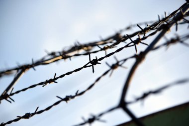 Dikenli tel. Dikenli teller ve mavi gökyüzü endişe verici.