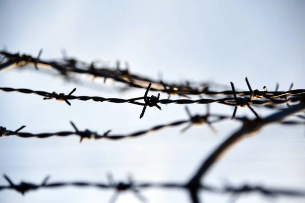 Barbed wire. Barbed wire on fence with blue sky to feel worrying.