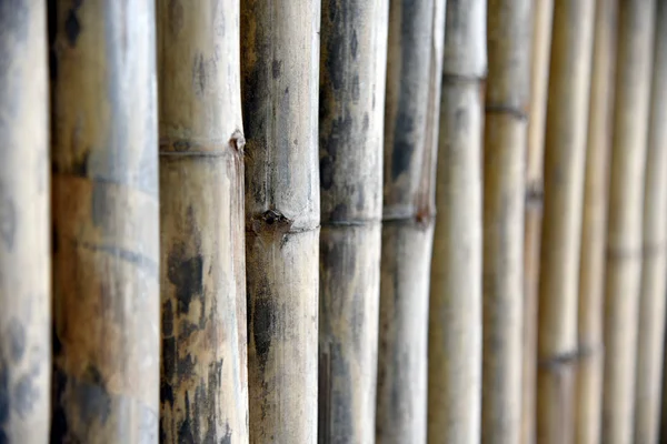 Drewniana Obudowa Barier Podłoże Drewniane Ściany Stary Brązowy Odcień Bambus — Zdjęcie stockowe