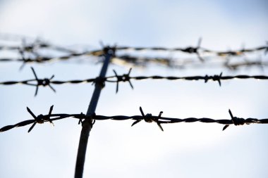 Dikenli tel. Dikenli teller ve mavi gökyüzü endişe verici.