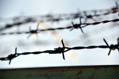 Dikenli tel. Dikenli teller ve mavi gökyüzü endişe verici.