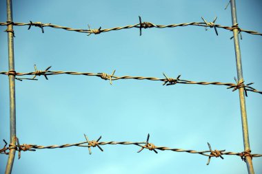 Dikenli tel. Dikenli teller ve mavi gökyüzü endişe verici.