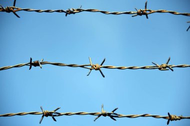 Dikenli tel. Dikenli teller ve mavi gökyüzü endişe verici.