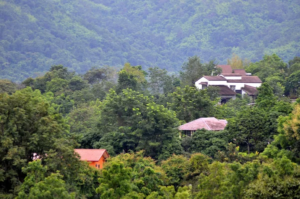 Casa Mezzo Alla Foresta Una Casa Mezzo Alla Foresta Una — Foto Stock