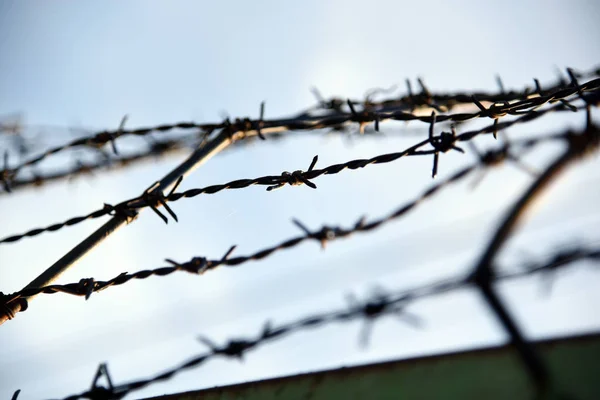 Barbed wire. Barbed wire on fence with blue sky to feel worrying.