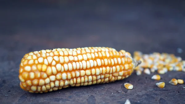 Raw Corn Seeds or Corn kernels are the fruits of corn. Grains of ripe corn. Kernels and seeds of maize.