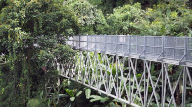 Gölgelik doğayı keşfetmek için yürüyor. Kraliçe sirikit Botanik Bahçesi Chiang Mai, Tayland gölgelik yürür.