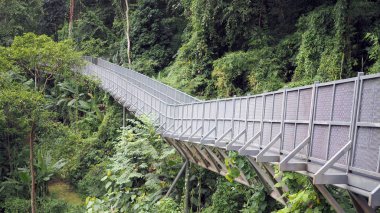 Gölgelik doğayı keşfetmek için yürüyor. Kraliçe sirikit Botanik Bahçesi Chiang Mai, Tayland gölgelik yürür.
