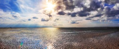 Yürüyüşçüler Wadden Denizi Frizce Adası Baltrum düşük gelgit geçiyorlar