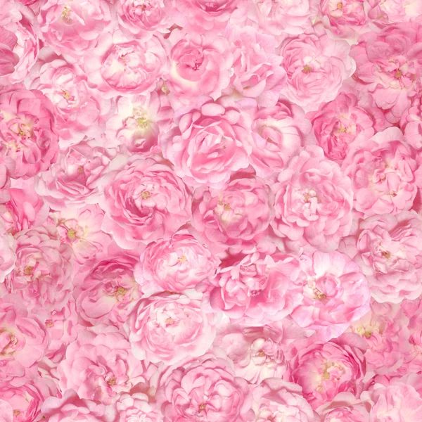Wiederholbares Muster Von Über Verschiedenen Rosafarbenen Rosenknospen Von Denen Jede — Stockfoto