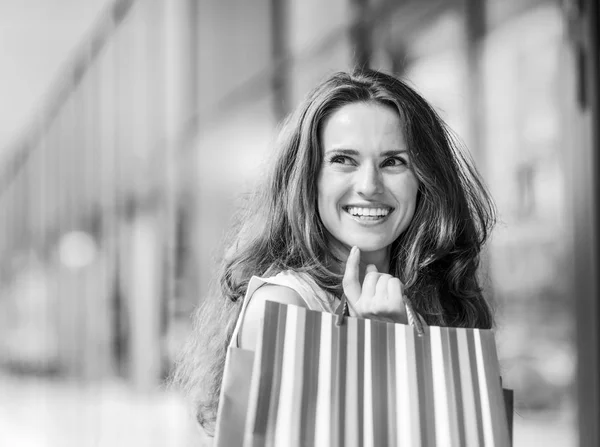 Alışveriş Torbaları Ile Mutlu Bir Genç Kadın Portresi — Stok fotoğraf