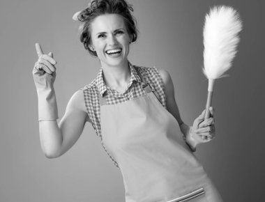 mutlu genç kadın bir önlük bir toz bezi fırçayla fikrim var.