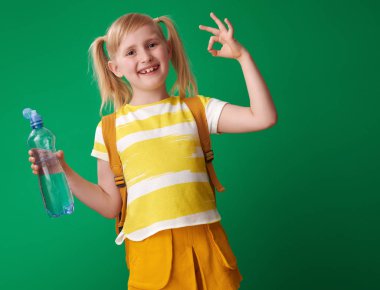 sırt çantası ile ok jest yeşil arka plan üzerinde gösterilen su şişe ile mutlu öğrenci