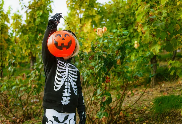 Criança Vestindo Traje Esqueleto Halloween Segurando Abóbora Jack Lanterna Cesta — Fotografia de Stock