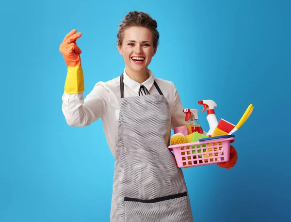 Empregada Doméstica Sorridente Avental Com Cesta Com Detergentes Escovas Com — Fotografia de Stock