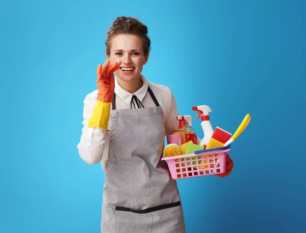 Feliz Jovem Mulher Limpeza Avental Com Uma Cesta Com Detergentes — Fotografia de Stock