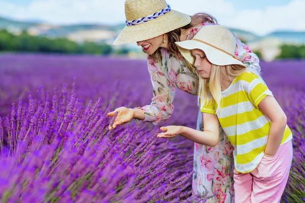 Modern Anne Kızı Lavanta Lavanta Alan Provence Fransa Karşı Çok — Stok fotoğraf