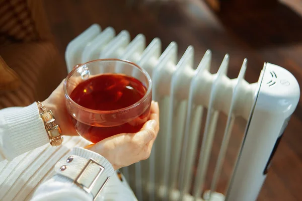 Sluiten Stijlvolle Vrouw Moderne Woonkamer Zonnige Winterdag Met Kopje Warme — Stockfoto