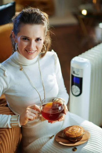 Sorrindo Elegante Mulher Meia Idade Camisola Branca Saia Sentado Perto — Fotografia de Stock