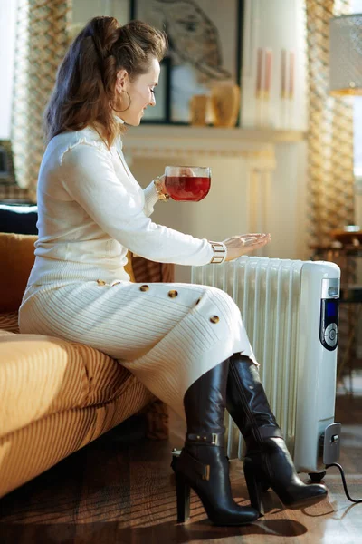 Smiling Elegant Years Old Woman White Sweater Skirt Sitting Couch — Stock Photo, Image