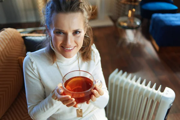 Porträt Einer Glücklichen Trendigen Hausfrau Modernen Zuhause Sonnigen Wintertagen Die — Stockfoto