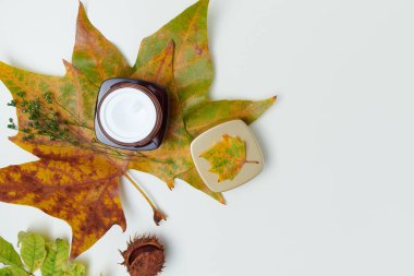 Merhaba Kasım ayı. Beyaz arka planda yapraklar, kestaneler ve yüz kremi ile sonbahar düzlüğü.