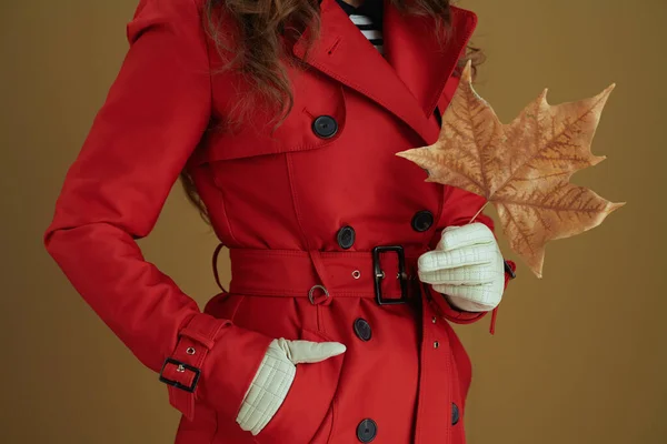 Life Covid Pandemic Closeup Woman Red Coat Yellow Autumn Maple — Stock Photo, Image