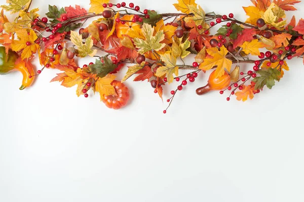 Olá Outono Fundo Outono Com Folhas Rowan Abóboras Fundo Branco — Fotografia de Stock
