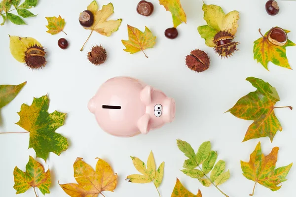 Olá Novembro Outono Flat Lay Com Folhas Castanhas Porquinho Banco — Fotografia de Stock