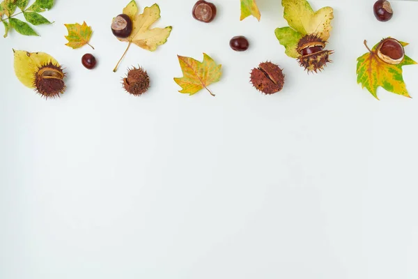 Ciao Ottobre Autunno Piatto Giaceva Con Foglie Castagne Sfondo Bianco — Foto Stock