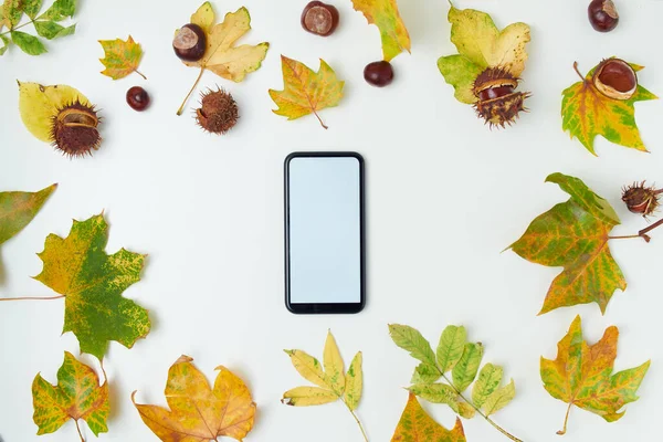 Olá Outono Fundo Outono Com Folhas Castanhas Tela Branco Smartphone — Fotografia de Stock