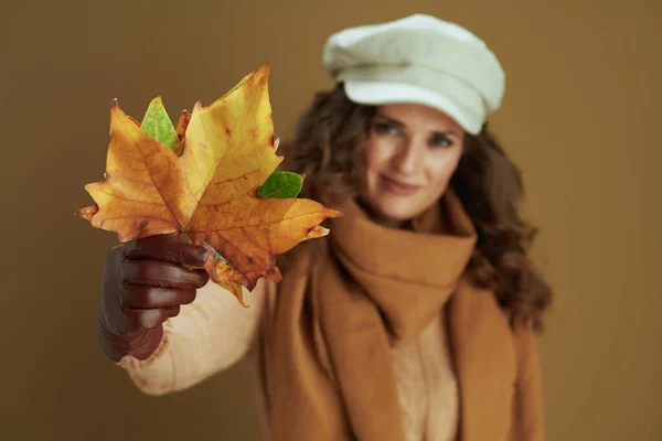 Hola Otoño Mujer Mediana Edad Elegante Feliz Bufanda Con Guantes —  Fotos de Stock