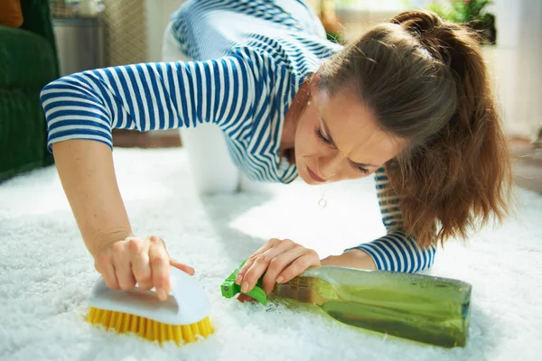 Gerichte Moderne Vrouw Gestreept Shirt Witte Broek Met Spray Fles — Stockfoto