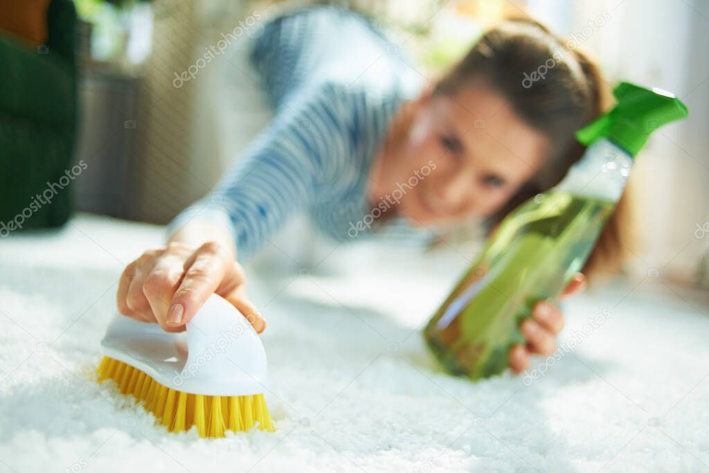 Modern housewife in striped t-shirt and white pants with spray bottle of green cleaning supplies and yellow brush spot cleaning white carpet in the modern living room in sunny day.