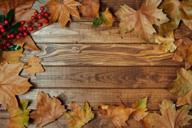Merhaba Eylül. Sonbahar düzlüğü Rowan 'la yatar ve tahtadan tahtalar üzerinde bırakır..