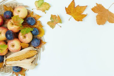 Merhaba Ekim. Beyaz arkaplanda yapraklar, erikler ve elmalarla sonbahar arkaplanı.